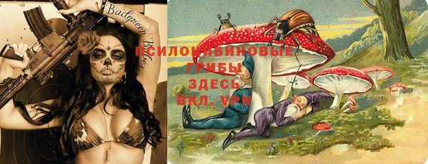 молекула духа Карпинск