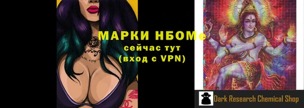 молекула духа Карпинск