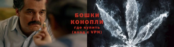 ПСИЛОЦИБИНОВЫЕ ГРИБЫ Карталы
