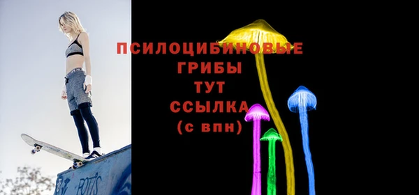 ПСИЛОЦИБИНОВЫЕ ГРИБЫ Карталы