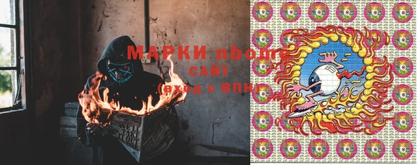 молекула духа Карпинск