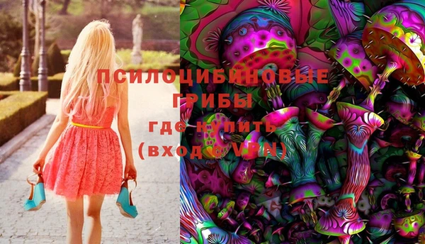 молекула духа Карпинск