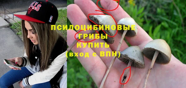 молекула духа Карпинск