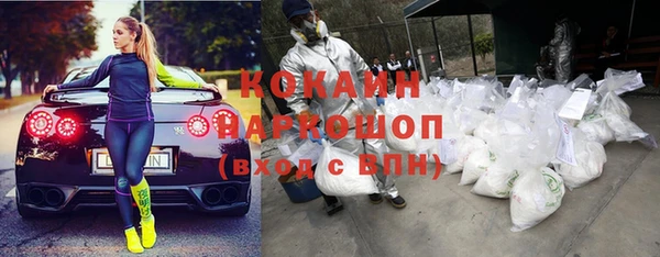 молекула духа Карпинск