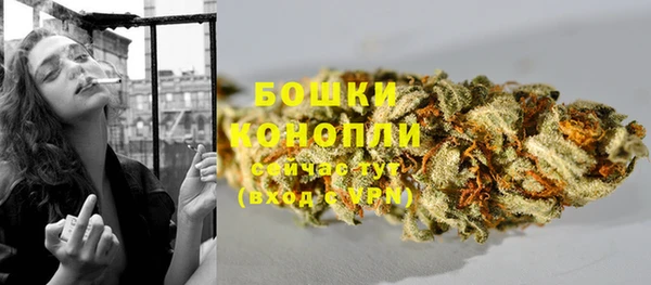 молекула духа Карпинск