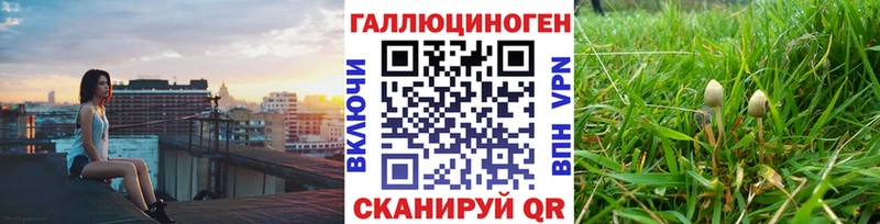 Купить  Белозерск  Псилоцибиновые грибы мицелий 